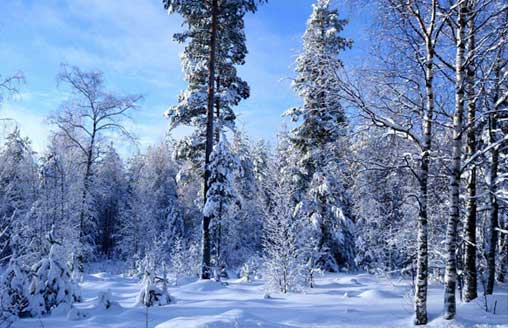 冬季生活小常識(shí)